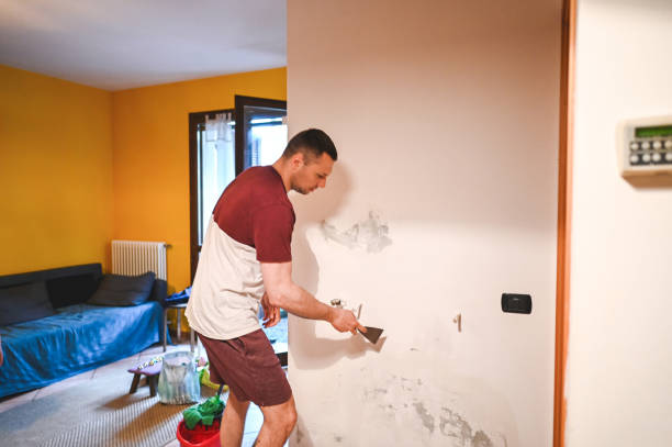 Best Office Mold Removal Services  in Lmerton, PA