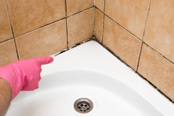 Best Office Mold Removal Services  in Lmerton, PA